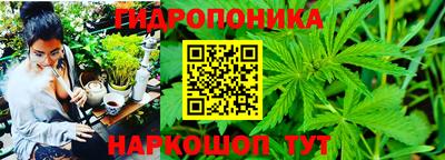молекула духа Славянск-на-Кубани