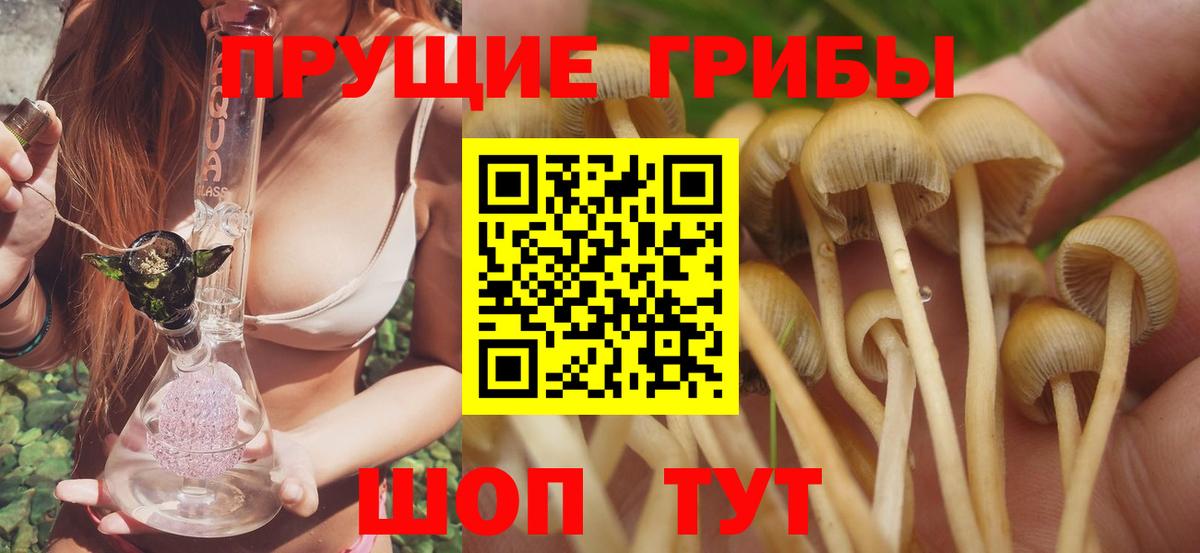 Белово  Галлюциногенные грибы Cubensis  Вход с VPN  Галлюциногенные грибы Magic Shrooms 
